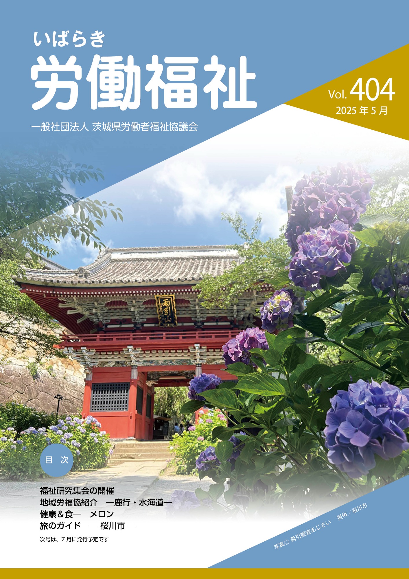 Vol.384表紙